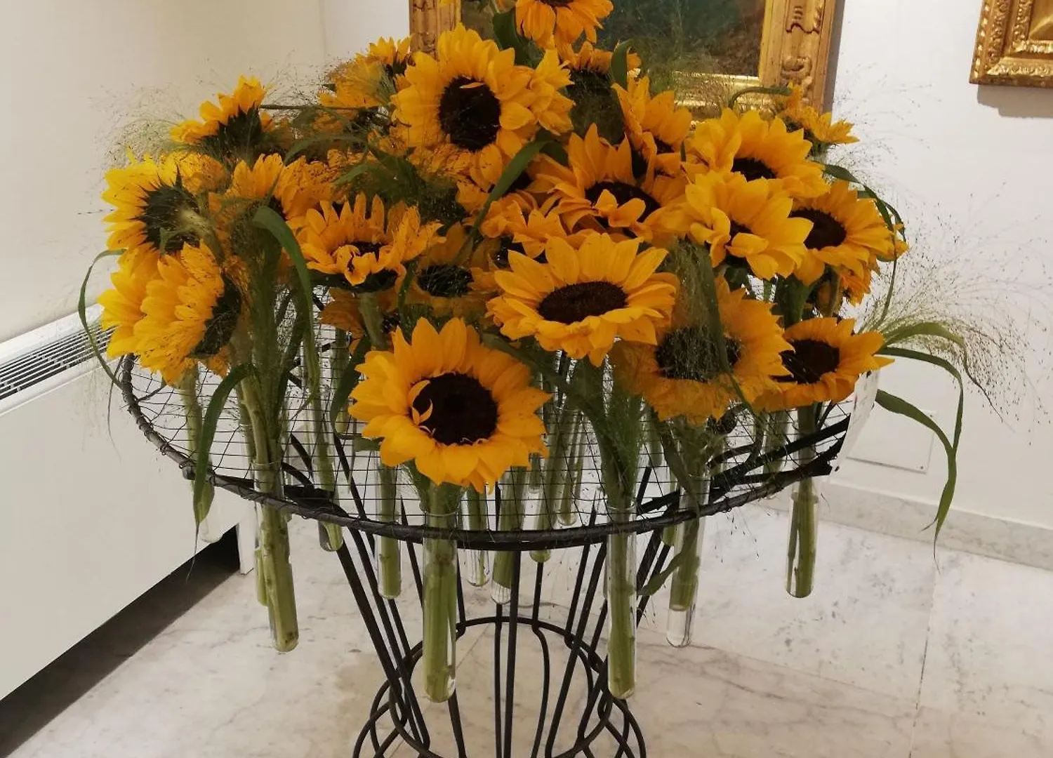 Ilgirasole B&B Rapallo Bed & Breakfast